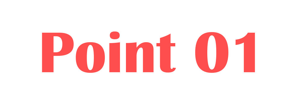 Point 01