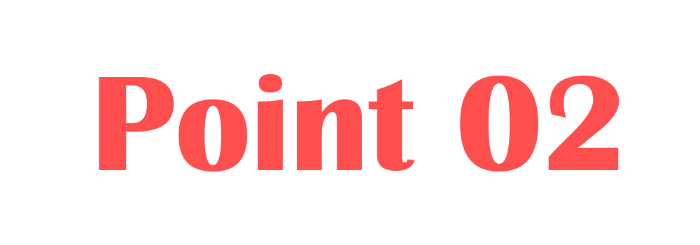 Point 02