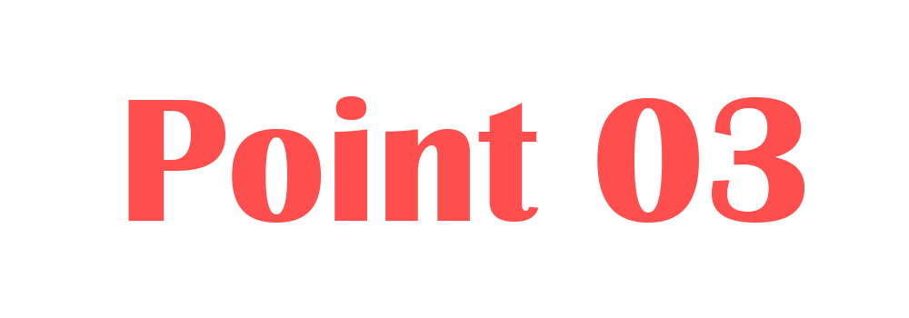 Point 03