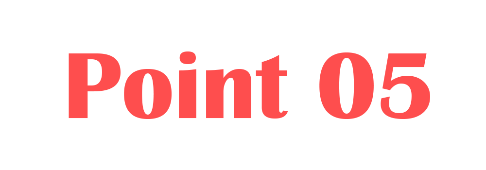 Point 05